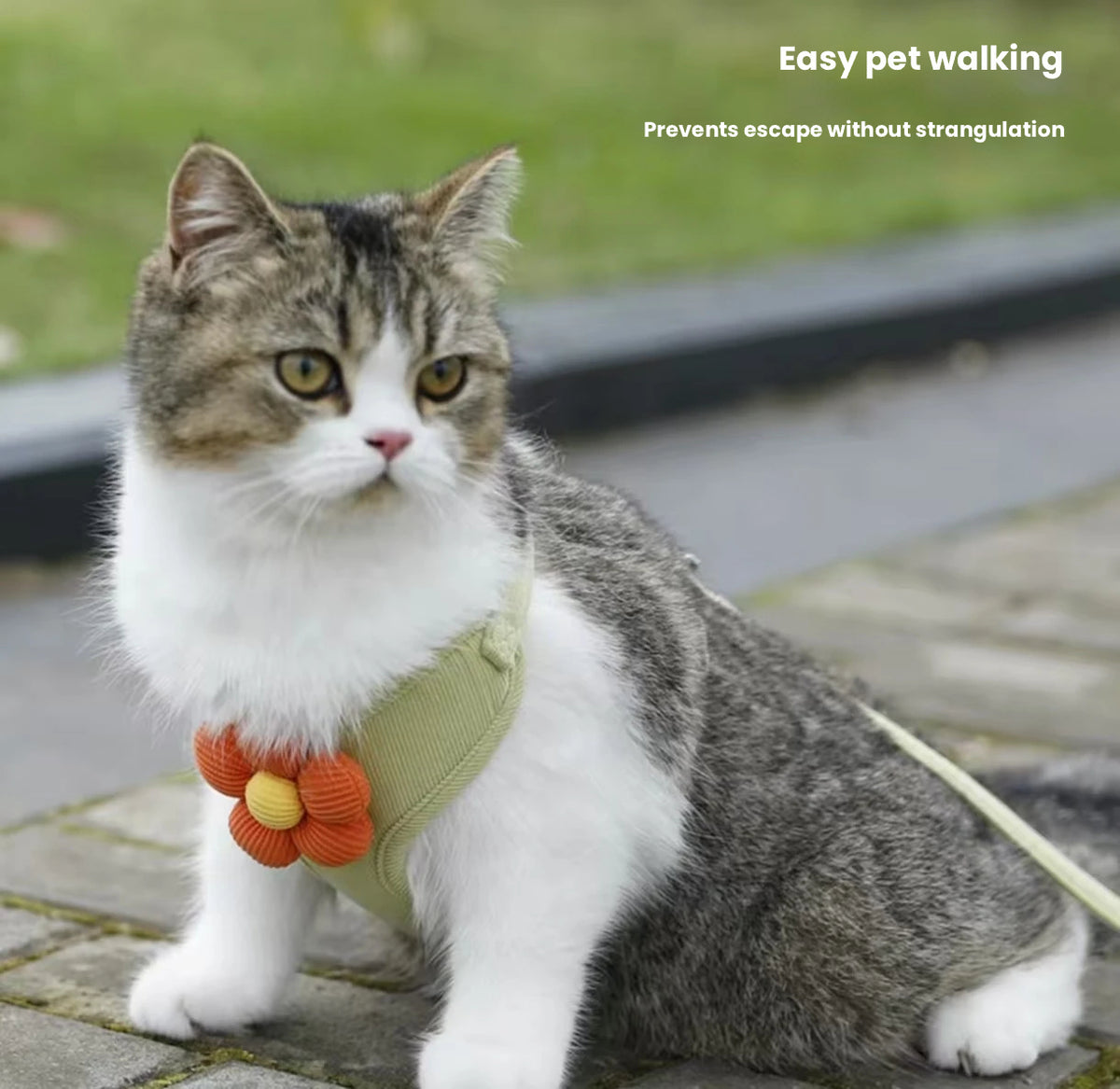 Flower Cat Harness with Leash, Vest Style for Small Pets