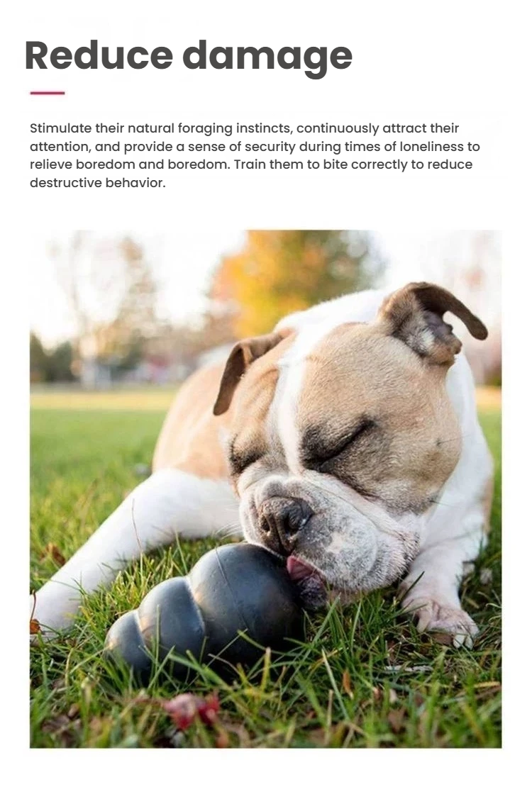 Dog playing with a black KONG Extreme toy on grass