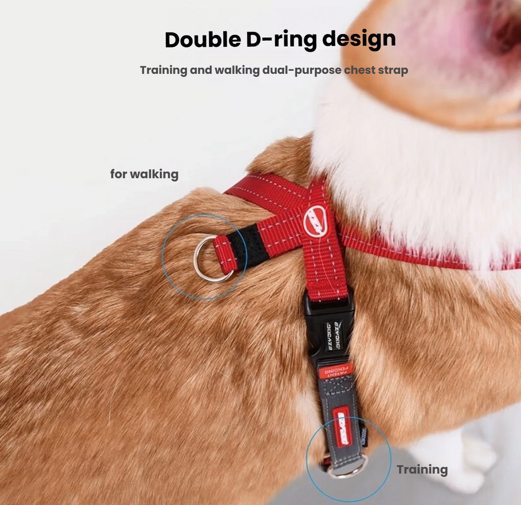 EzyDog Cross Check Dog Harness