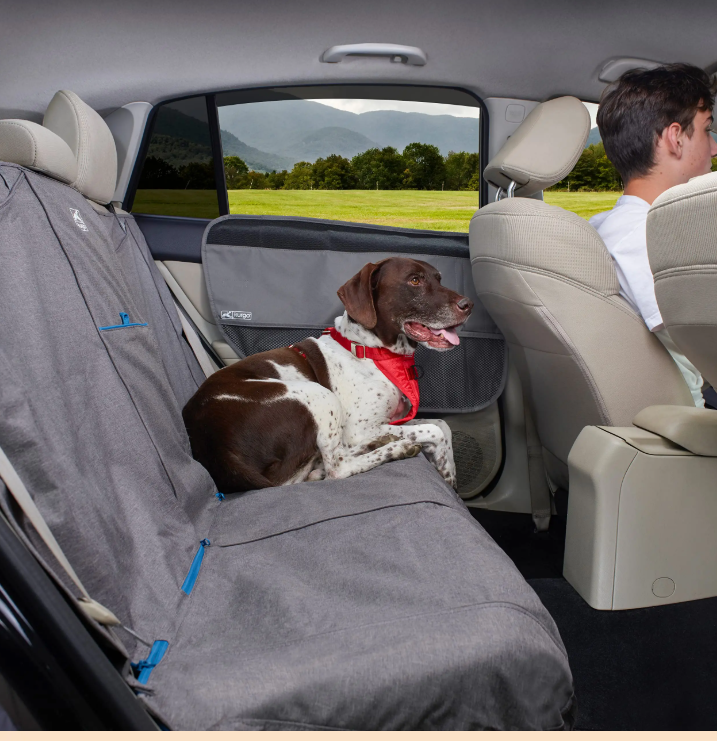 Kurgo door guard installed beside a dog on a protected rear car seat