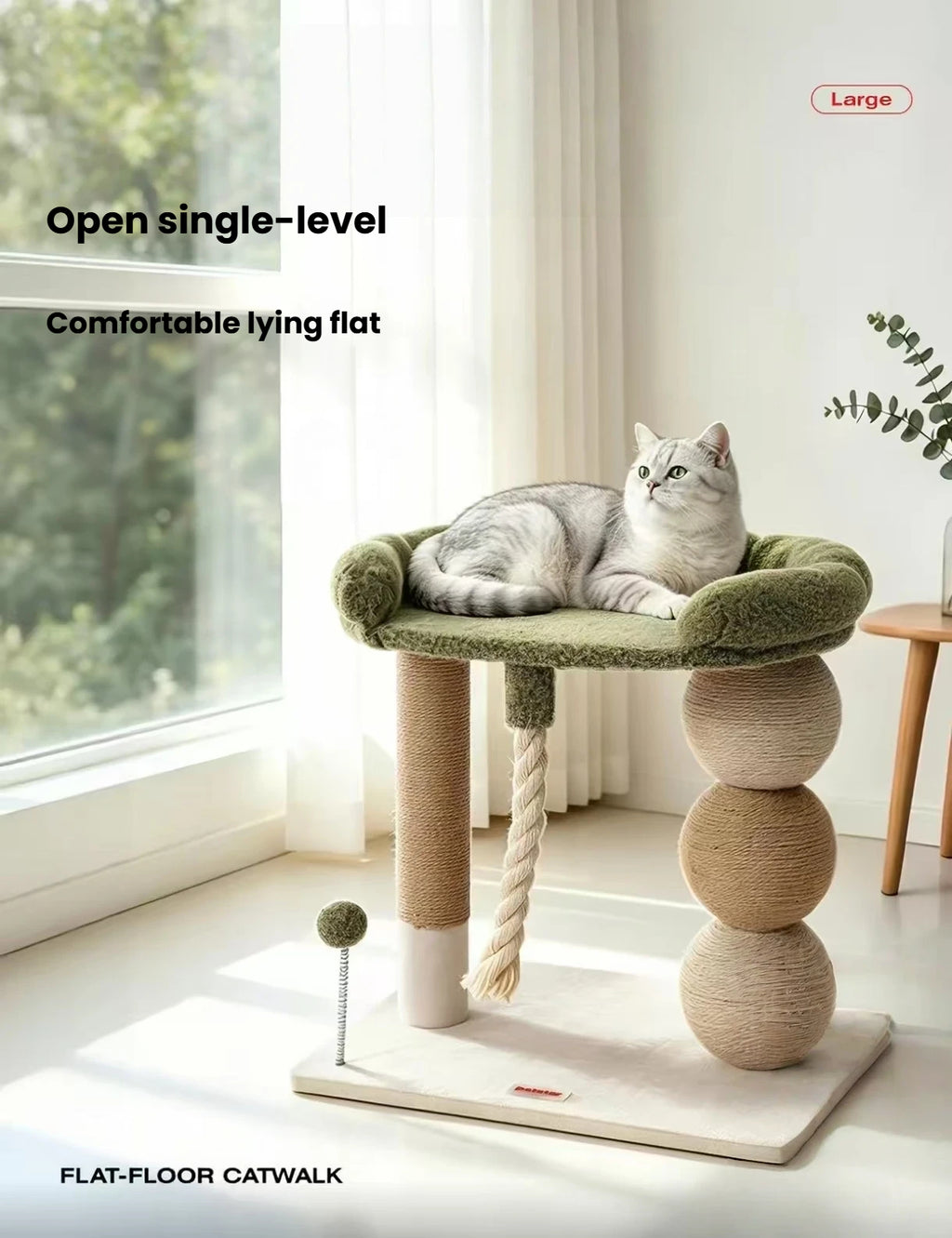 Cat lying on the padded green Petstar perch beside a window