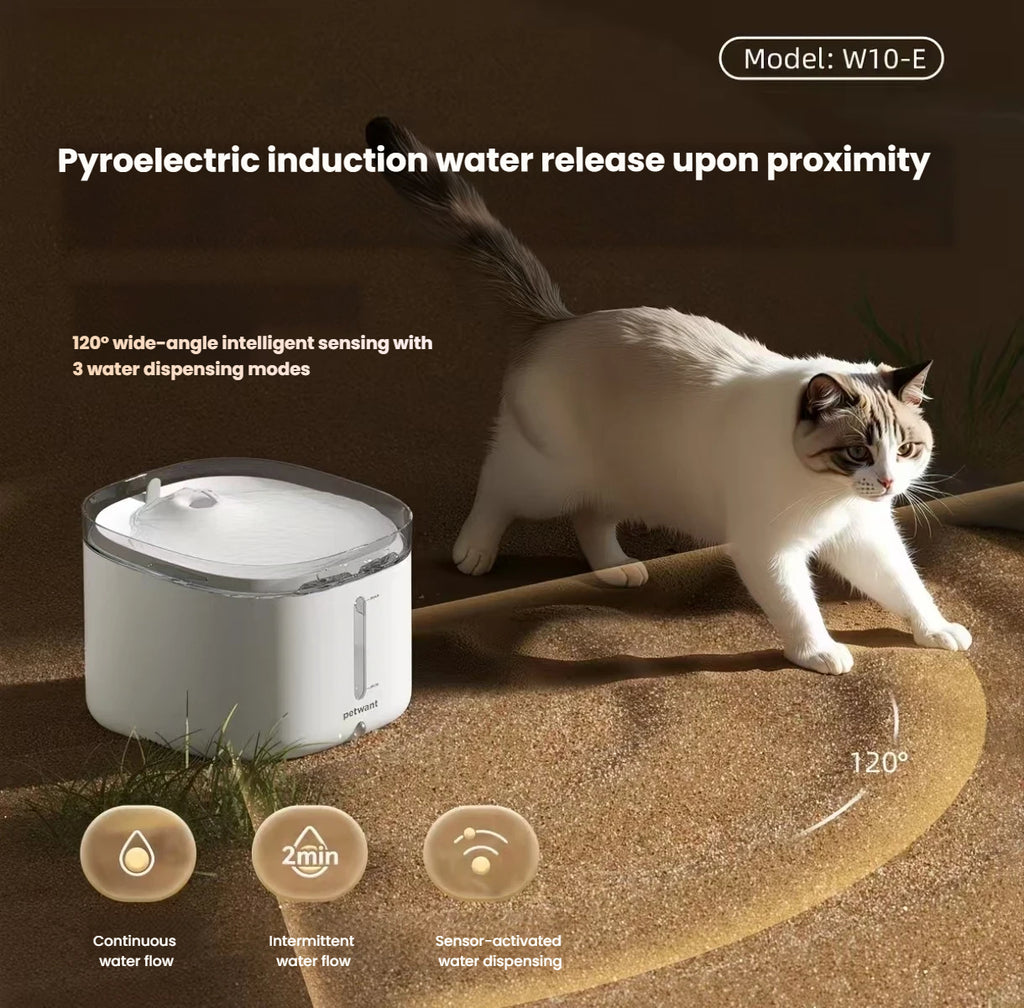 Petwant W10-E Automatic Cat & Dog Feeder