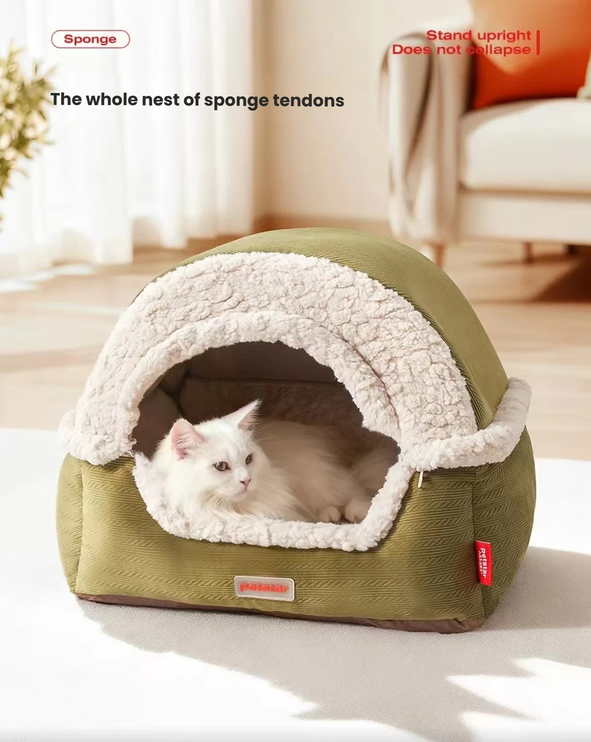 White cat resting in a green Petstar covered bed