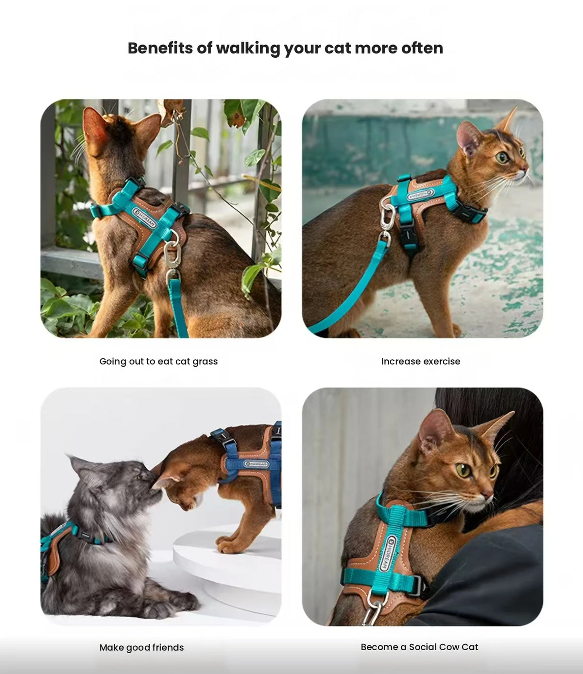 HiDREAM Leather Cat Harness and Leash Set - Adjustable Escape-Proof H-Style Vest