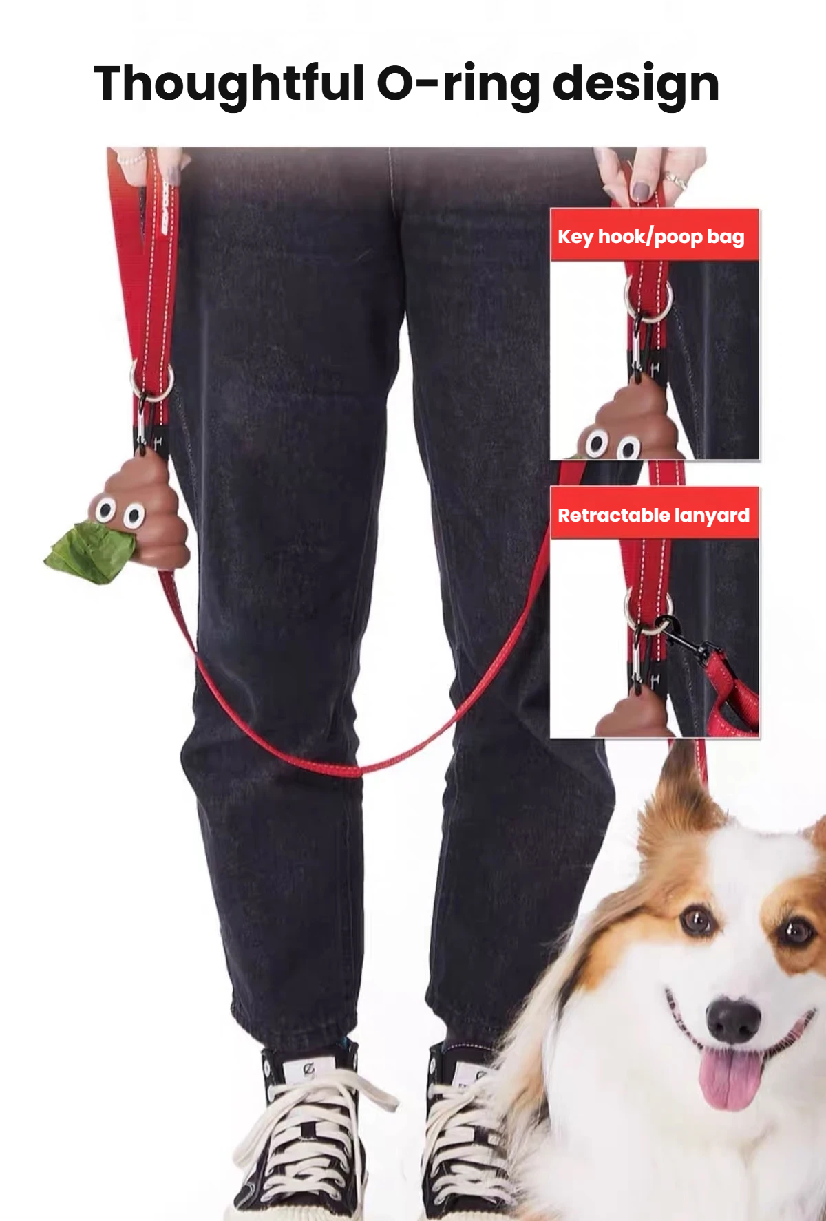 EzyDog Vario 4 O-ring shown holding walking accessories beside a dog