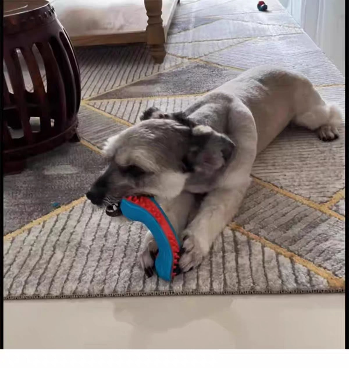 CAITEC Bacon-Scented Bone Dog Toy