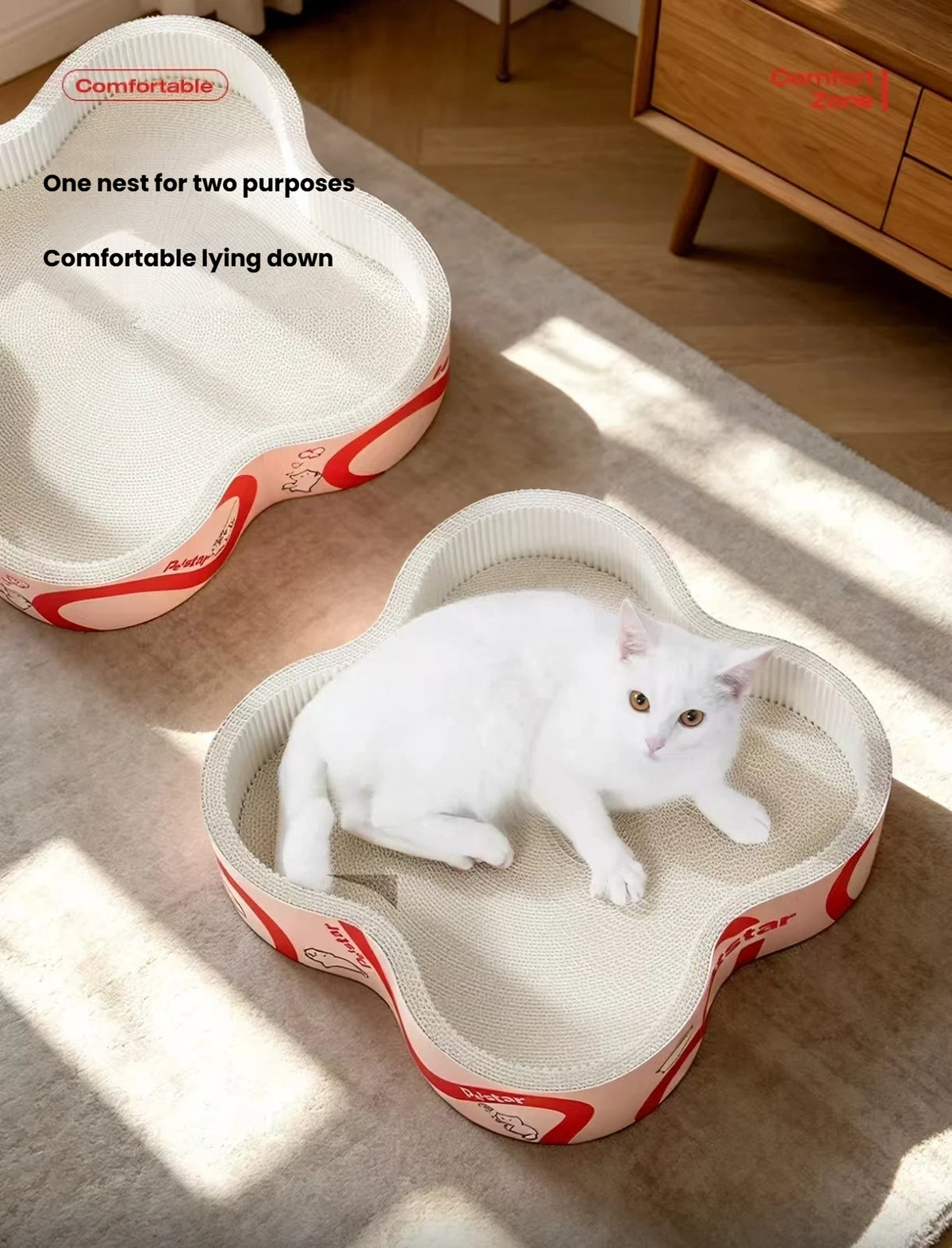 Two Petstar flower scratcher beds beside a window, one holding a cat