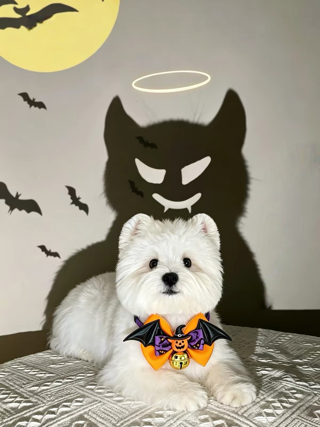 Halloween Pet Costume Collar – Adjustable Cat & Dog Collar