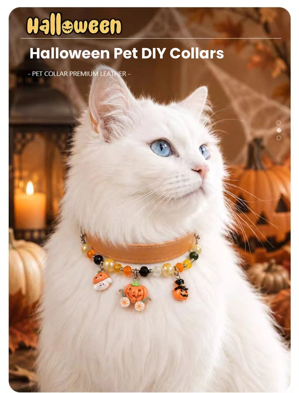 DIY Halloween Pet Collar with Bell, Beaded Cat & Dog Accessory