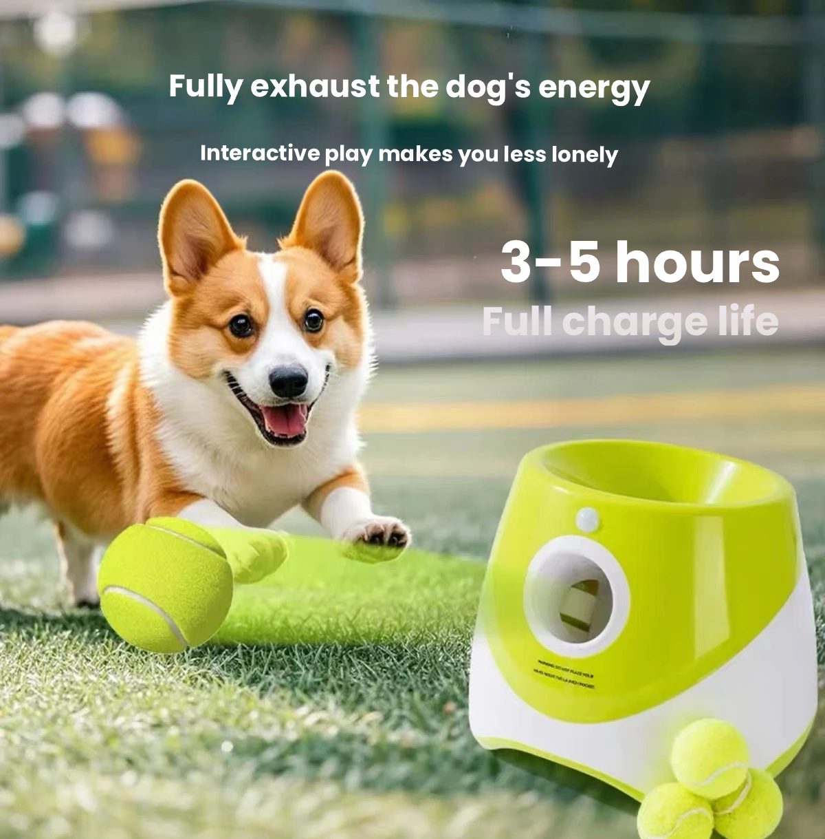 Hipidog Automatic Dog Ball Launcher with Tennis Balls – Interactive Fetch & Exercise Toy