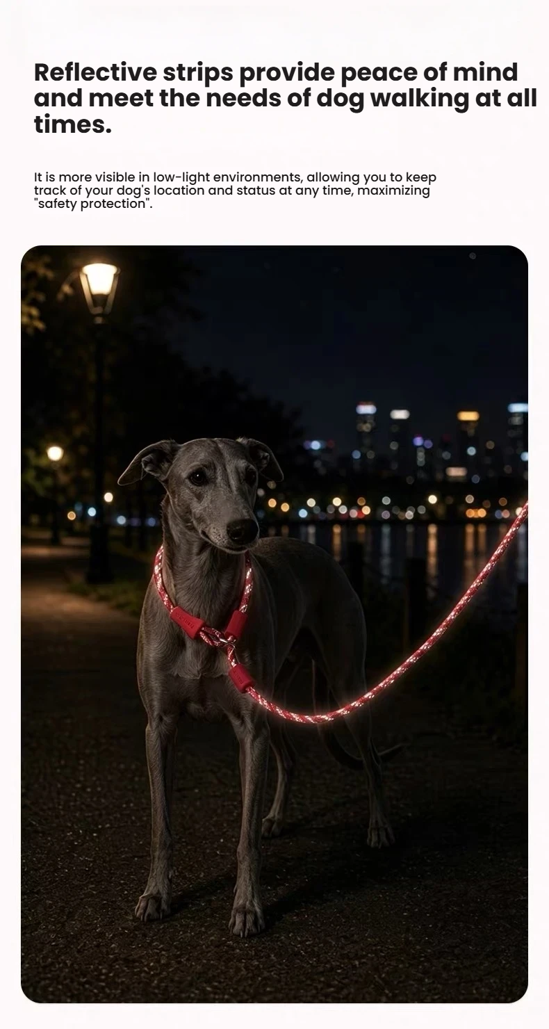 Red Petstar rope lead showing reflective detailing during an evening walk