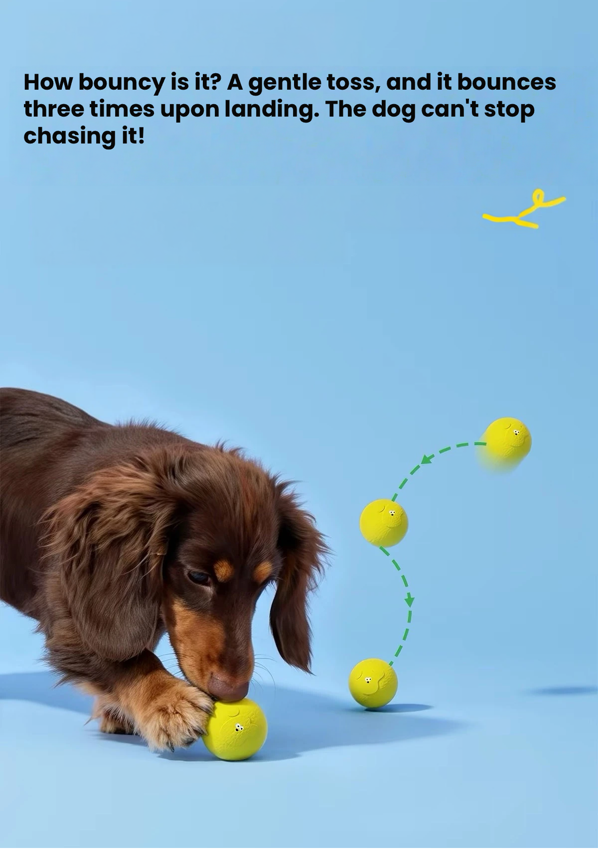 Roroarrr Chew-Resistant Bouncy Dog Ball – Interactive Boredom-Relief & Teething Toy