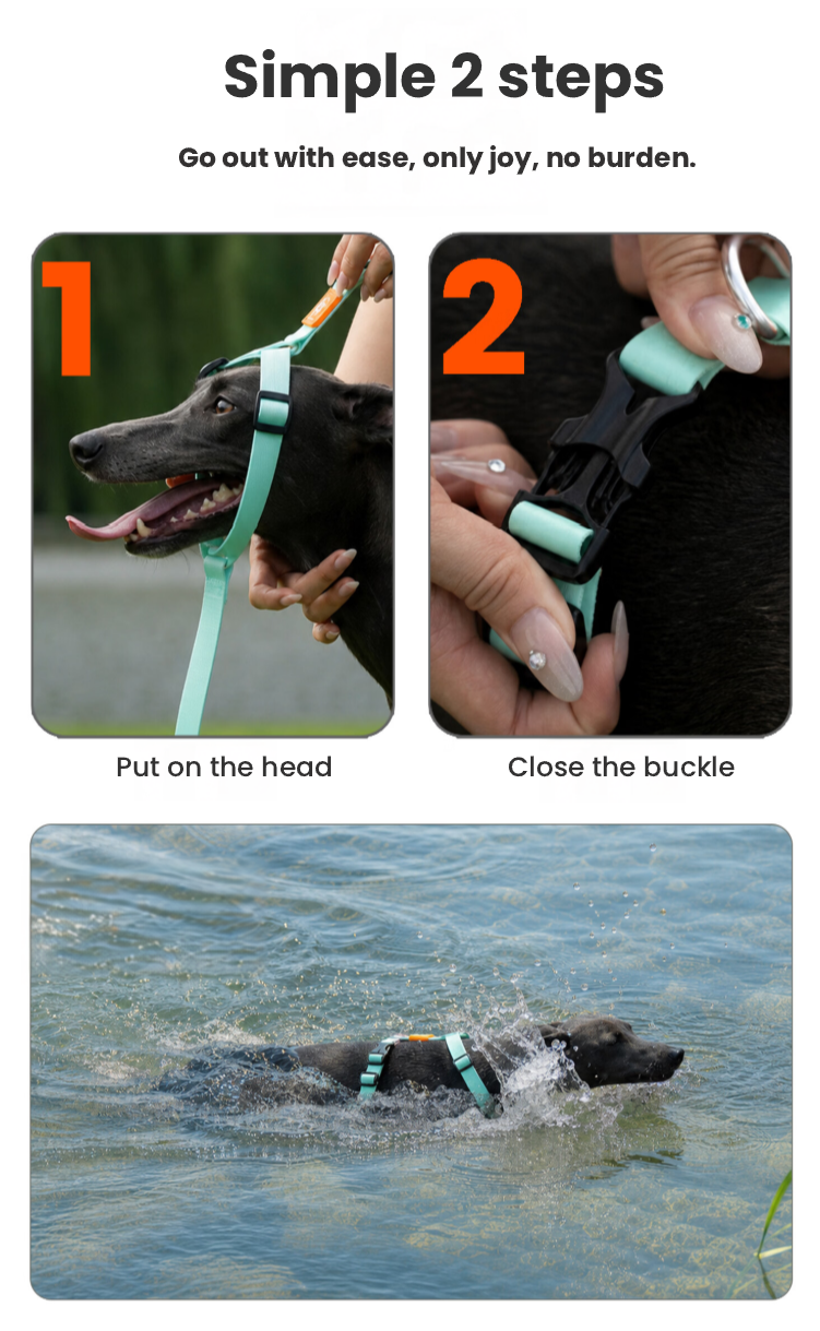 Dog wearing HOWGO harness and buckle fitting steps