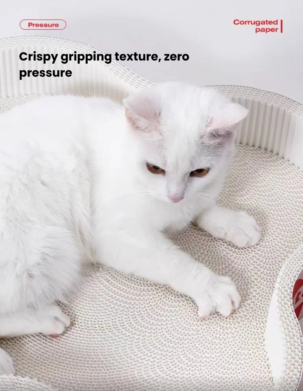 Close-up of a cat on the corrugated surface of the Petstar scratcher bed