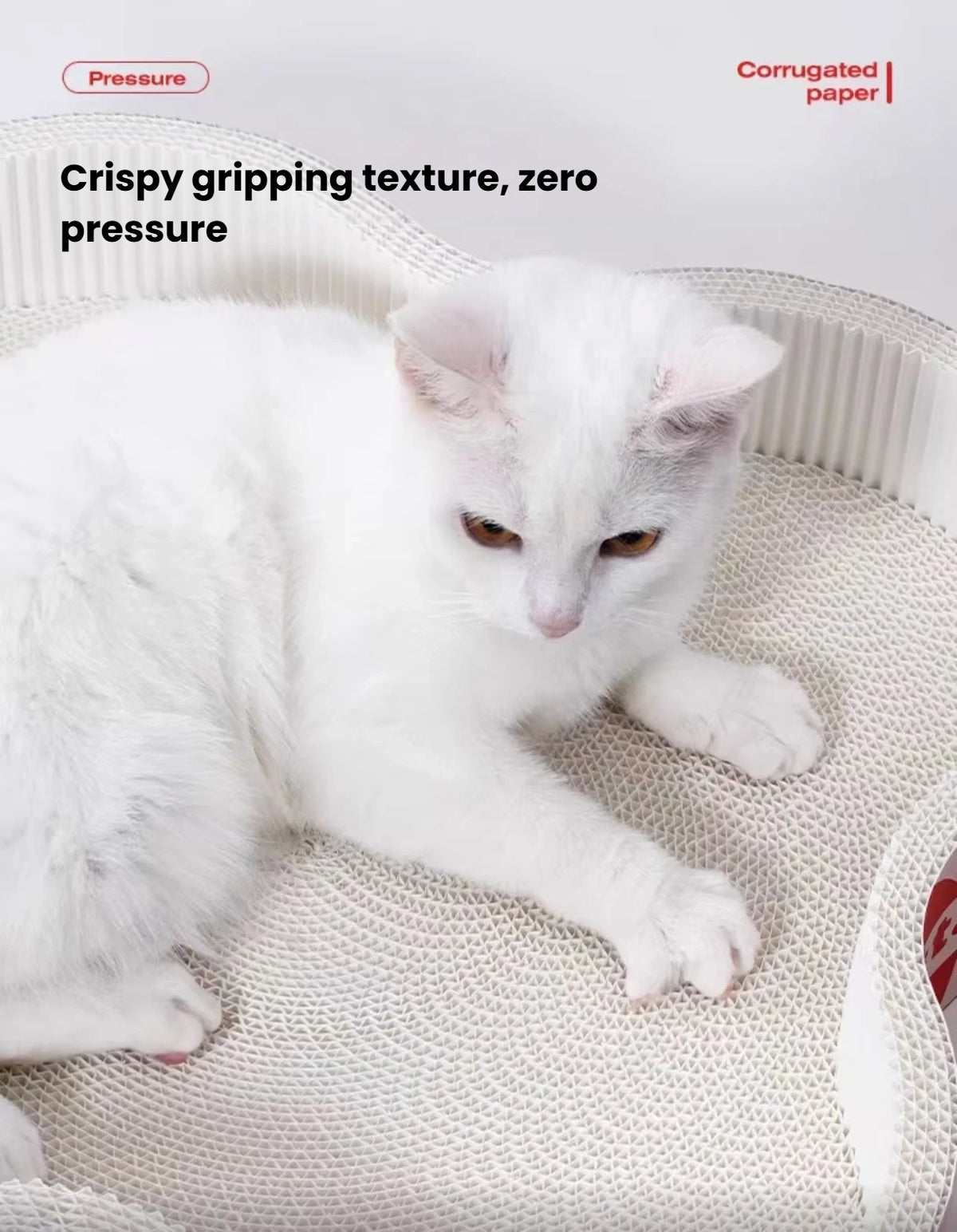 Close-up of a cat on the corrugated surface of the Petstar scratcher bed