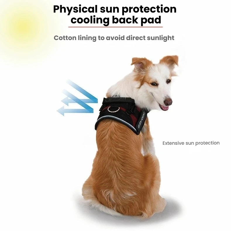 Side view of an EzyDog Convert harness fitted around a dog’s chest