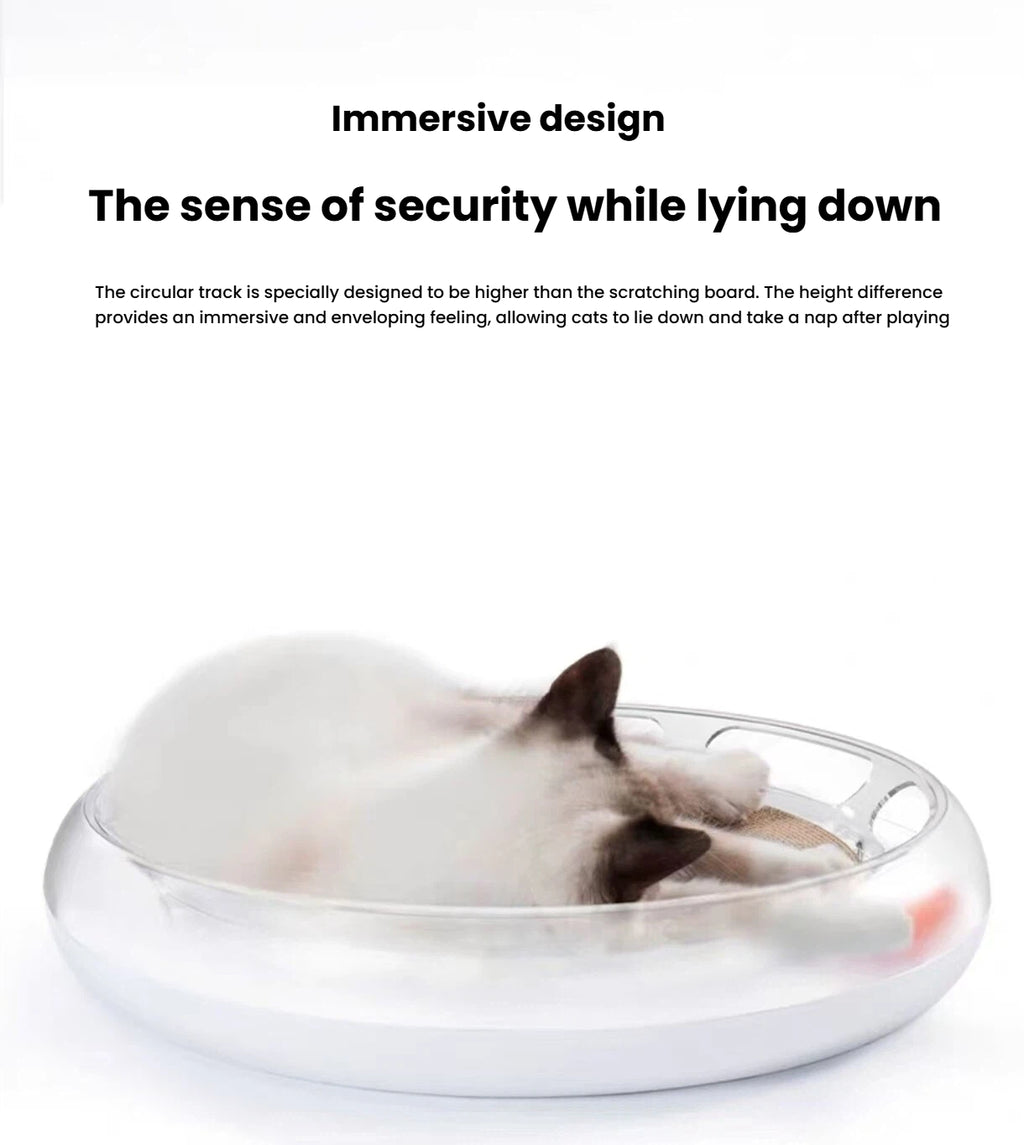 Cat resting inside the round PETKIT scratcher bed