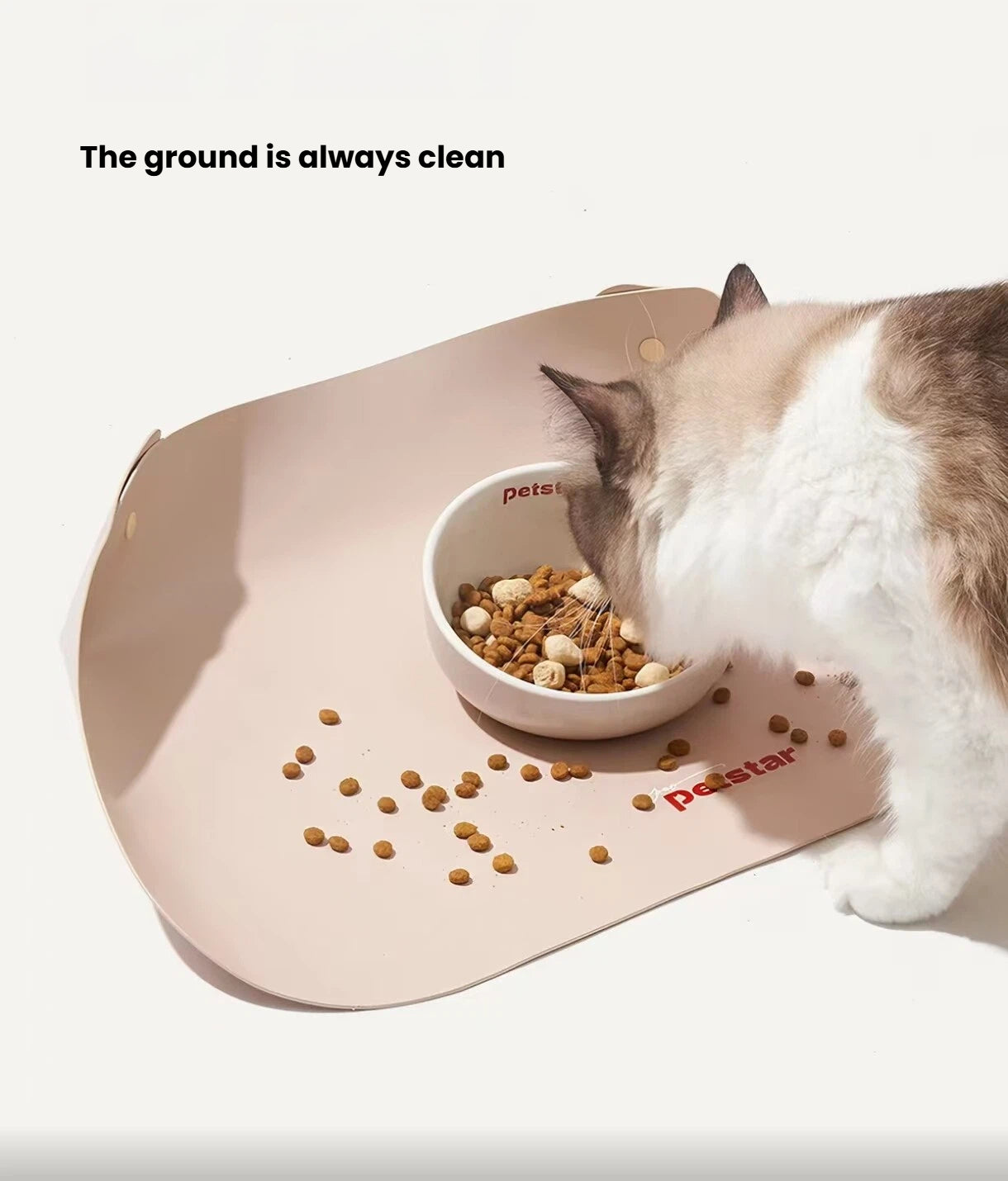 Petstar Elevated Ceramic Cat & Dog Bowl, Non-Spill Design