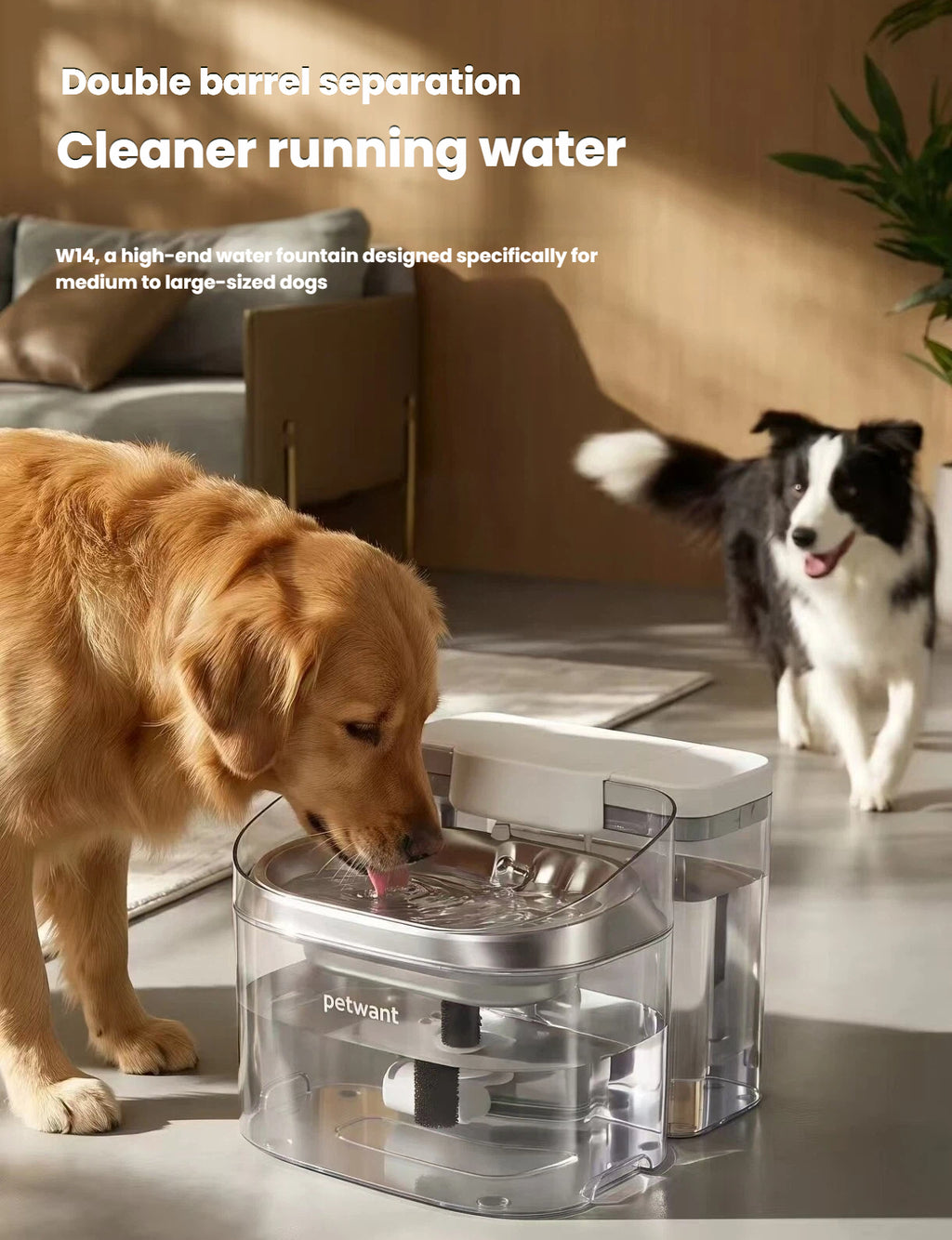 Petwant W14 11L Large Dog Water Fountain, Automatic Circulating