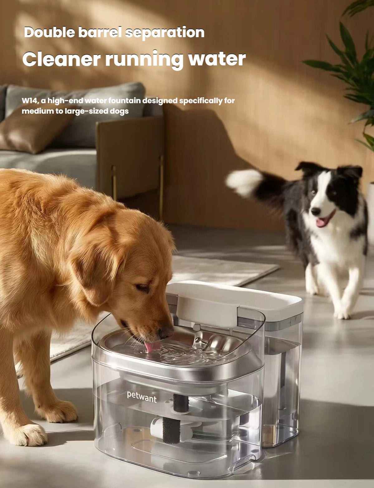 Petwant W14 11L Large Dog Water Fountain, Automatic Circulating