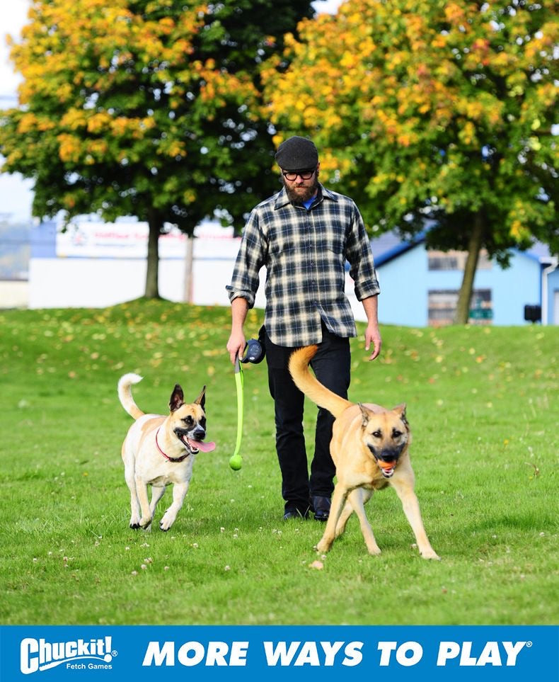 Person walking two dogs while holding a green Chuckit ball launcher