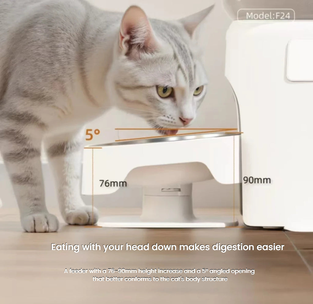 Petwant F24DC Dual-Meal Automatic Cat Feeder, Timed Feeding