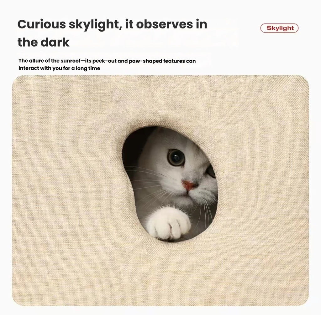 Cat peeking through the round opening in the roof