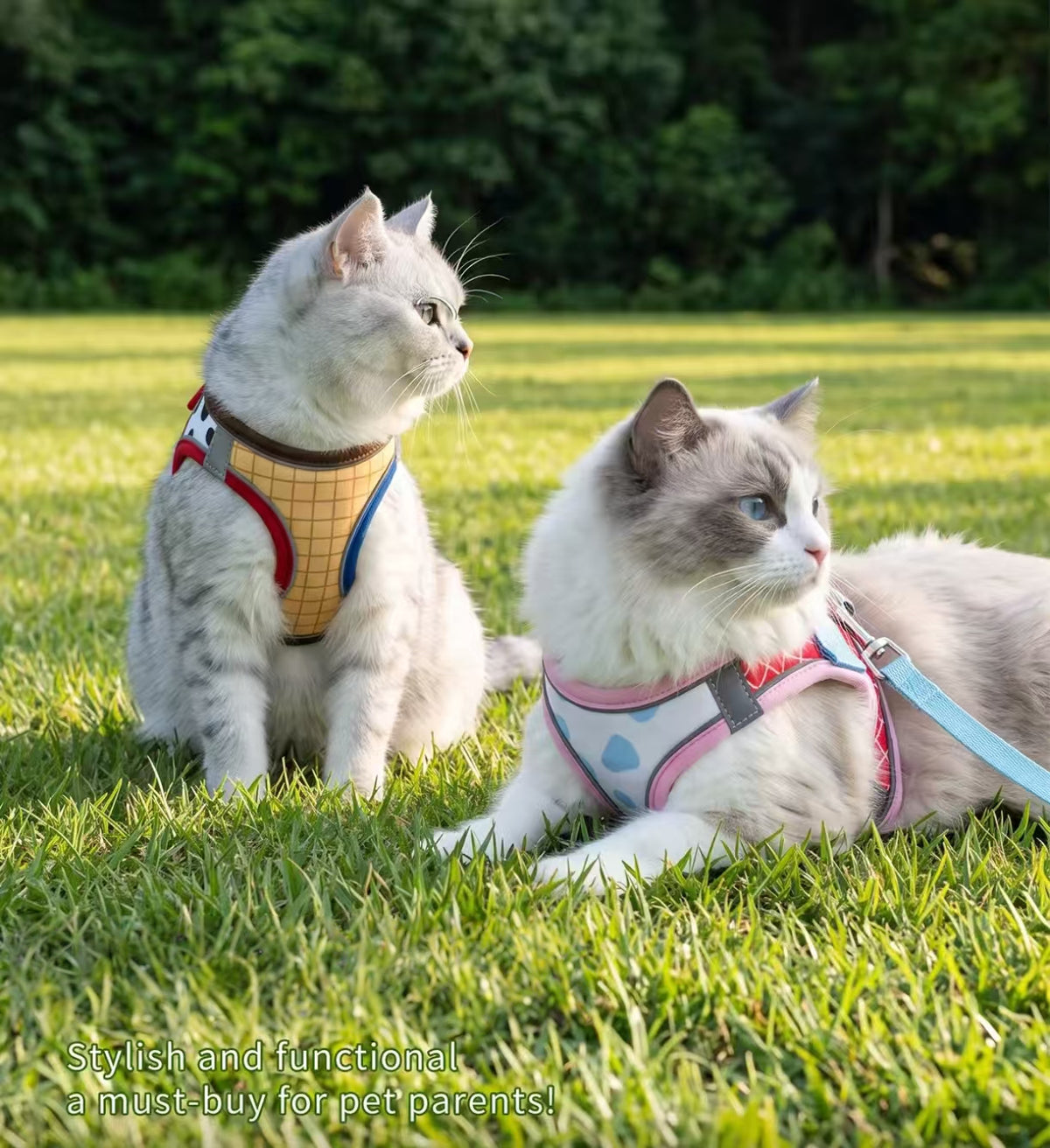 Adjustable Cat Harness with Leash, Escape-Proof Vest Design