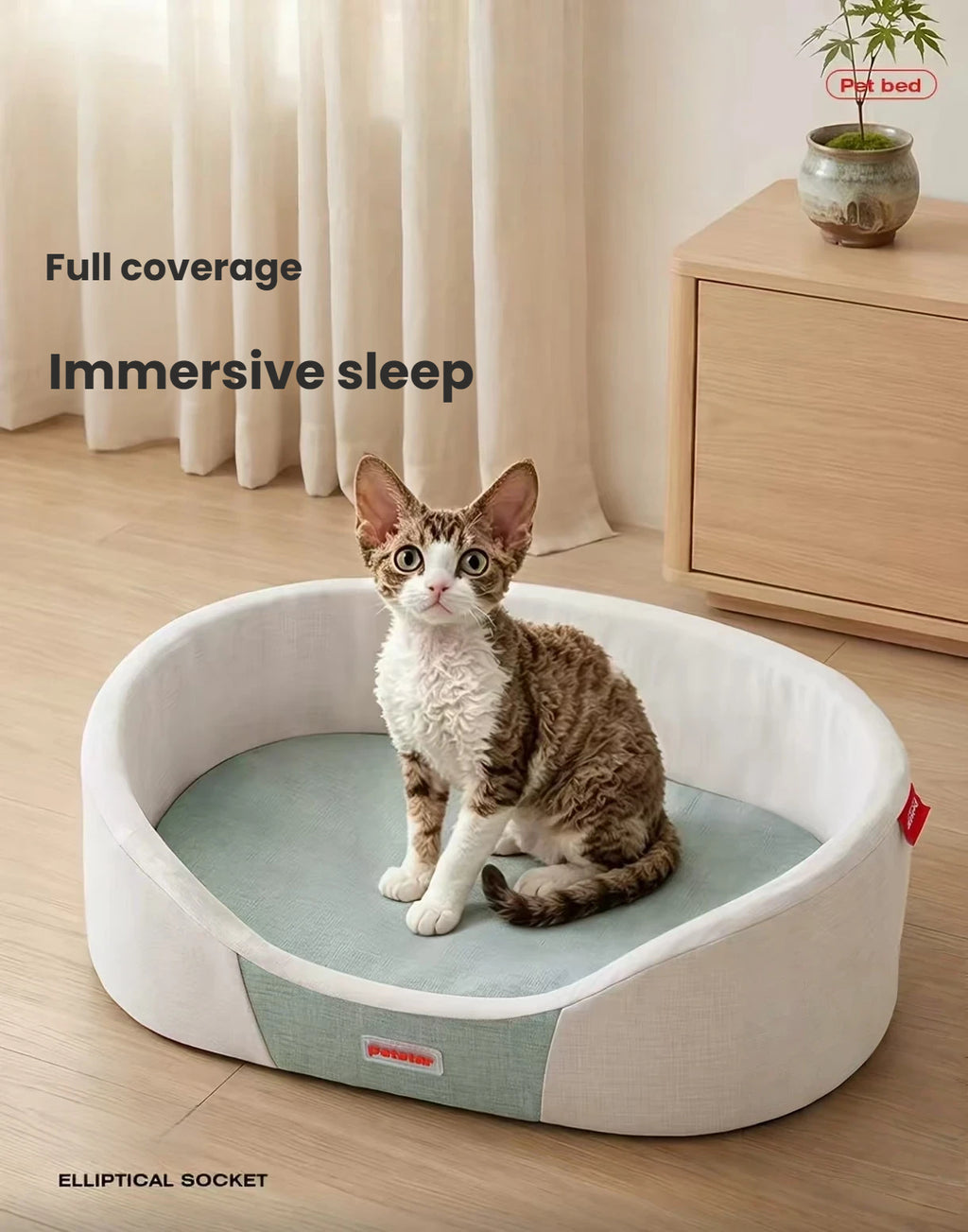 Petstar oval cat bed with a kitten seated on the cushion