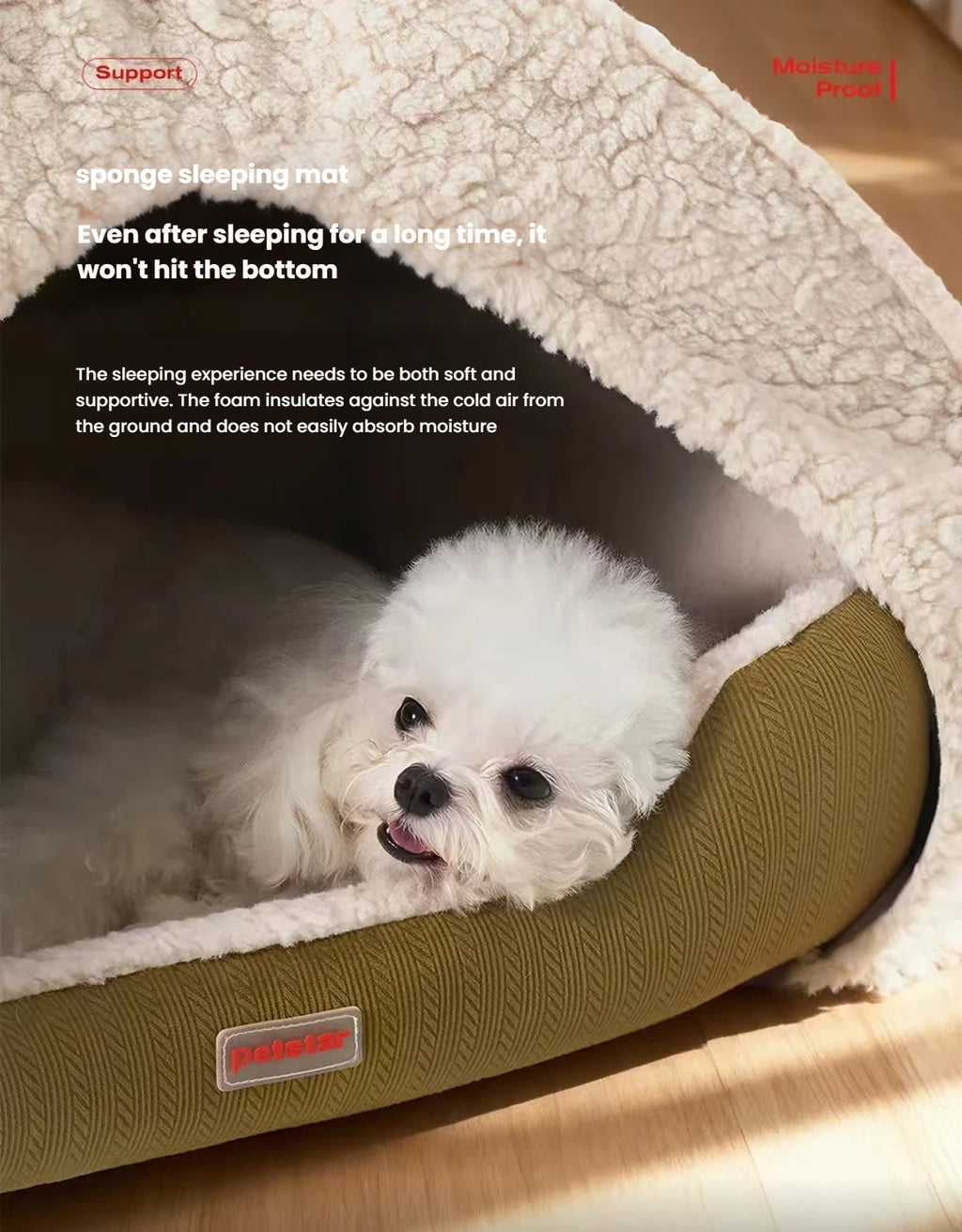 Small white dog resting on the cushioned base of a Petstar tent bed