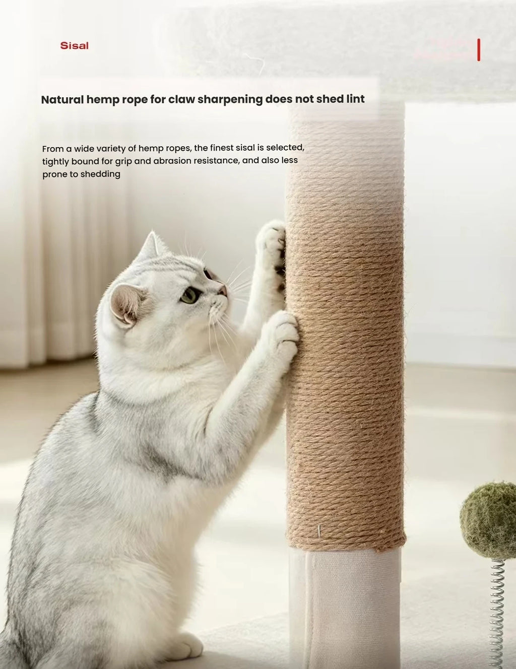 Close-up of a cat scratching the rope-wrapped Petstar post