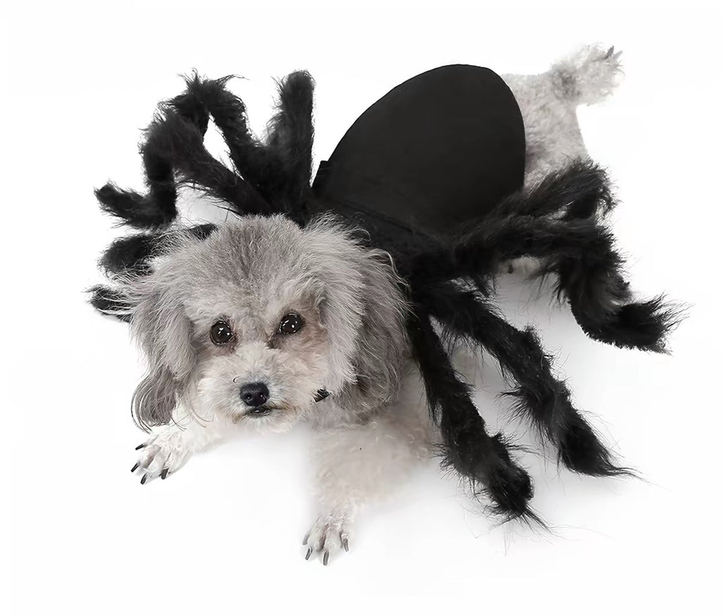 DogLemi Plush Spider Costume – Fun Dress-Up Outfit for Cats & Dogs