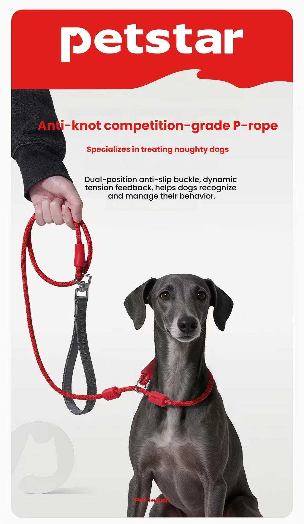 Person holding a red Petstar slip lead fitted to a black dog
