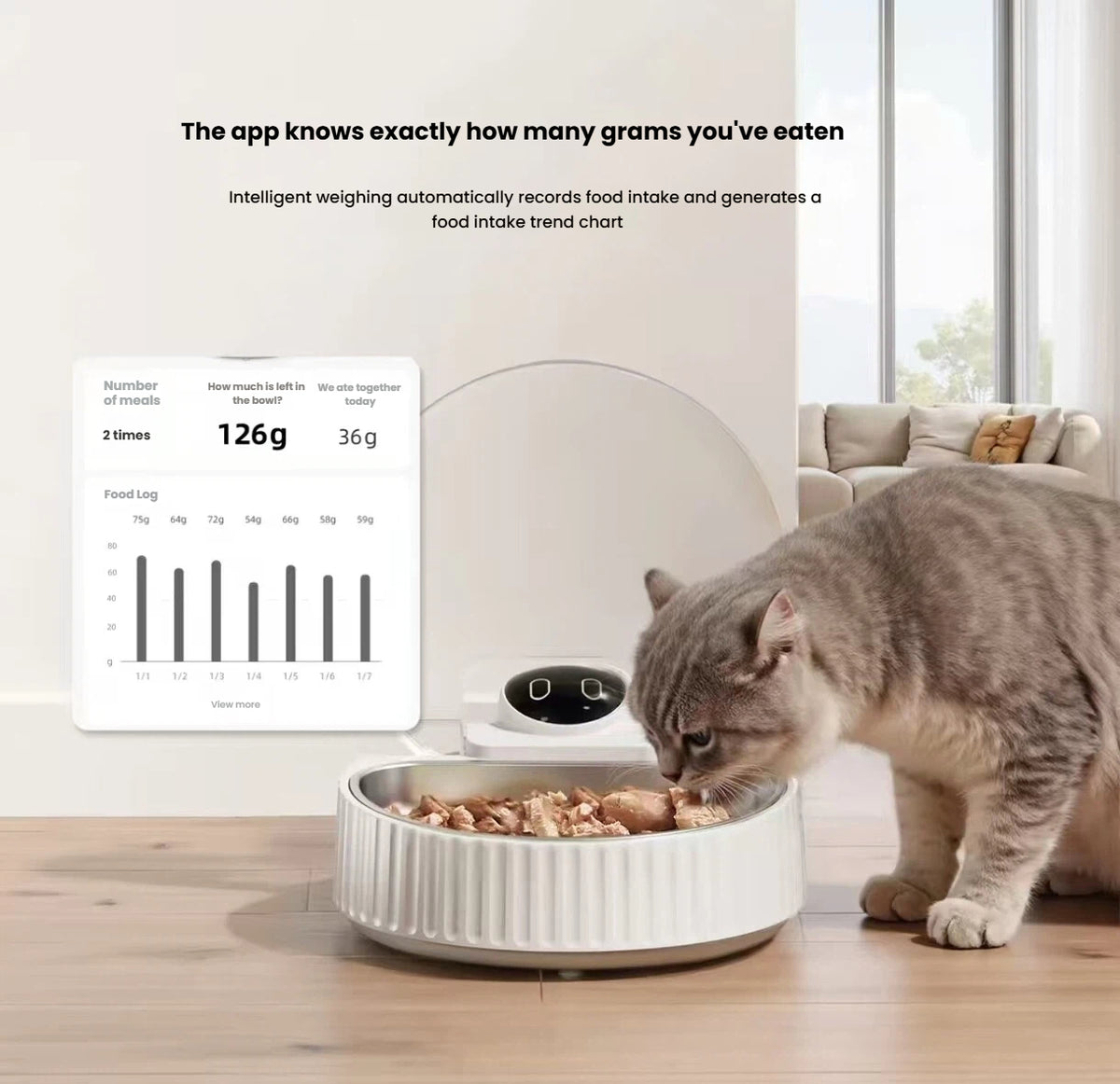 Petwant F25 Smart Wet Food Feeder with Cooling & App Control