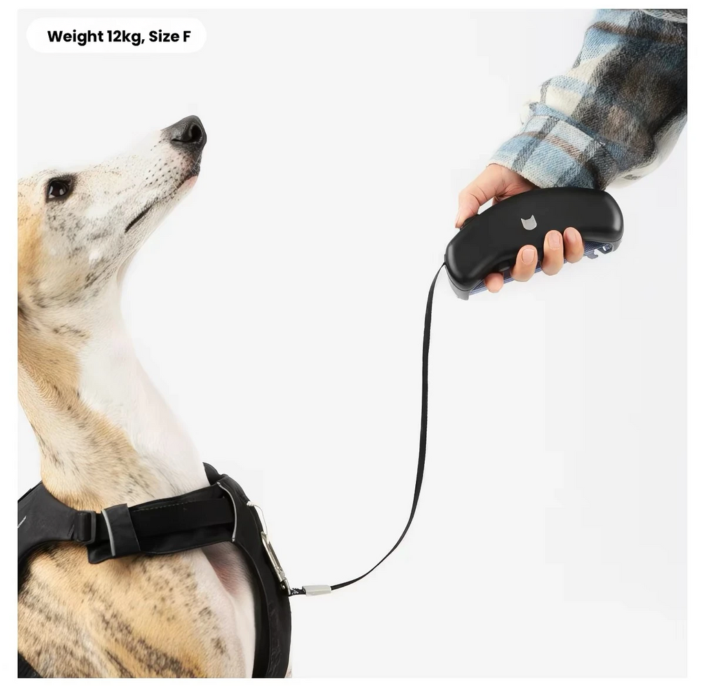 BuddyArmor Retractable Dog Leash – Lightweight Multi-Function Lead