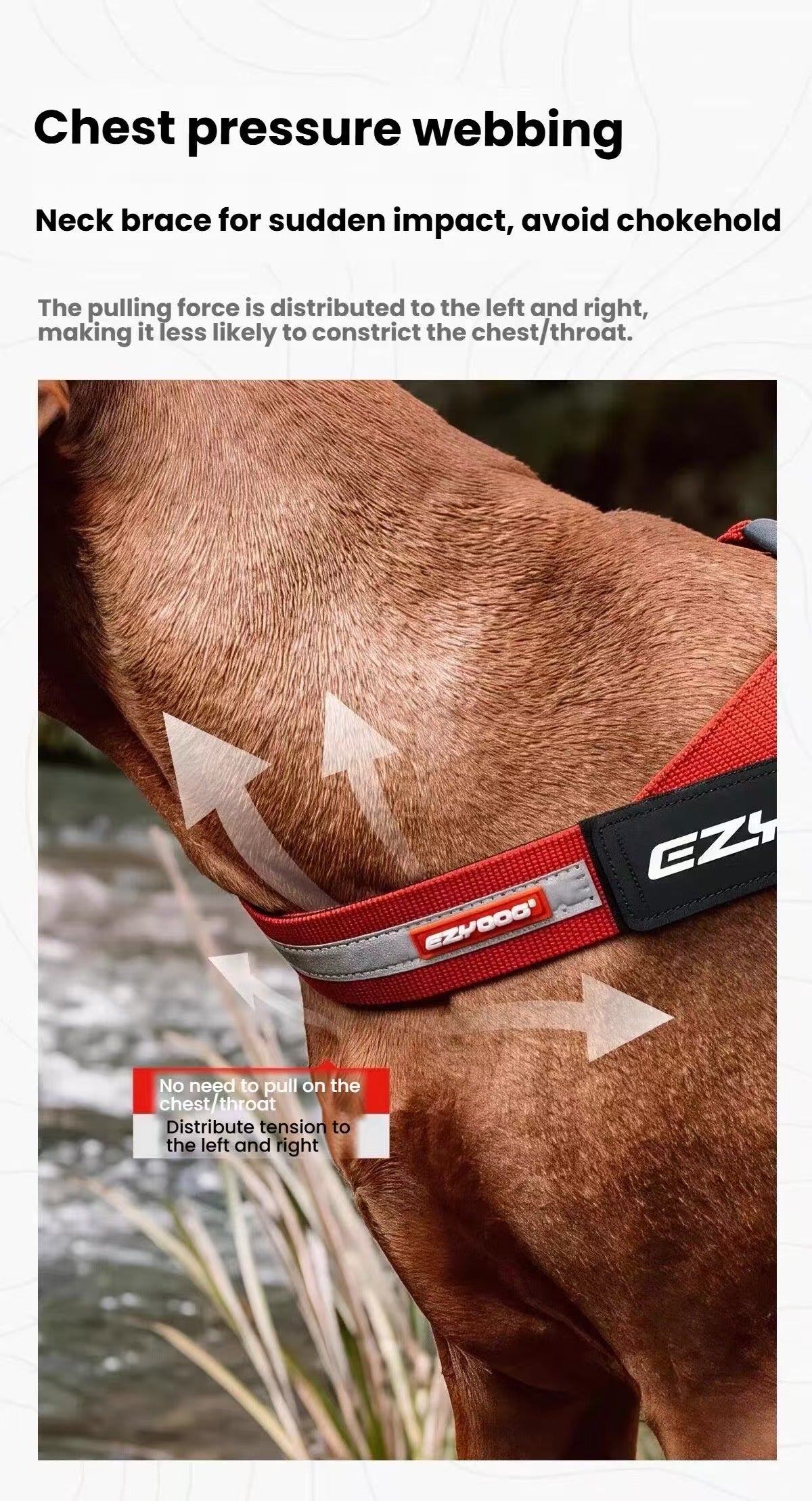 EzyDog Express Dog Harness.