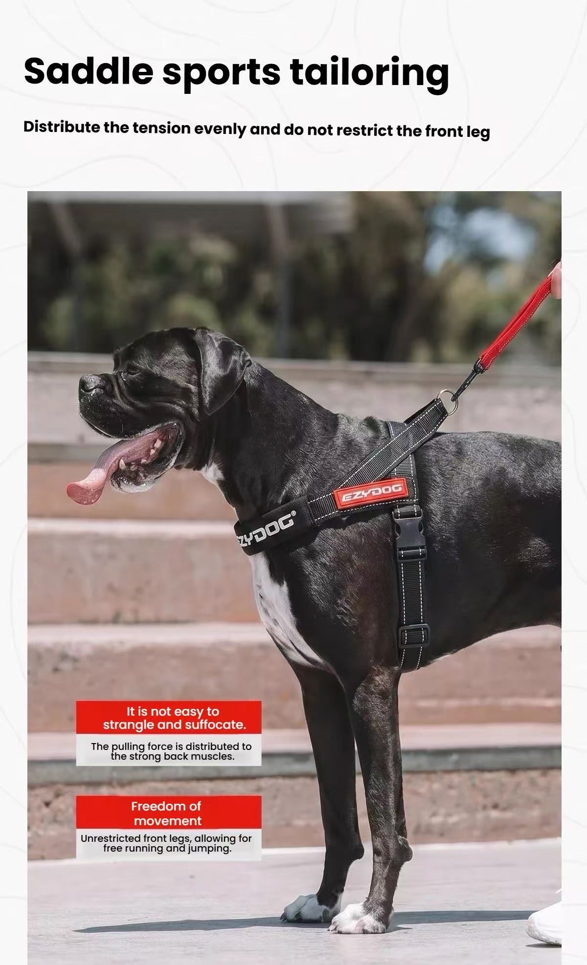 Side view of a dog wearing a black EzyDog Quick Fit harness