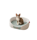 Cat sitting in a Petstar oval bed with pale sides and green cushion