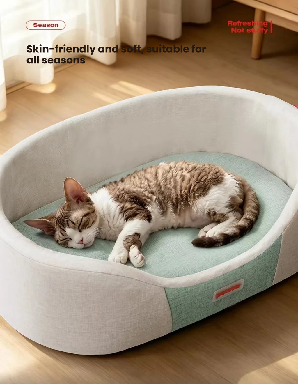 Cat sleeping on the green cushion inside a Petstar oval bed