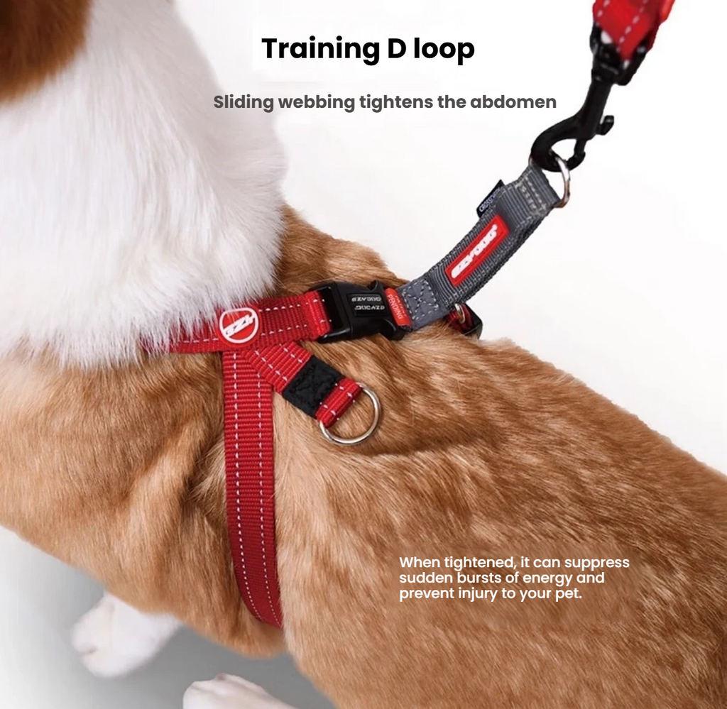 EzyDog Cross Check Dog Harness
