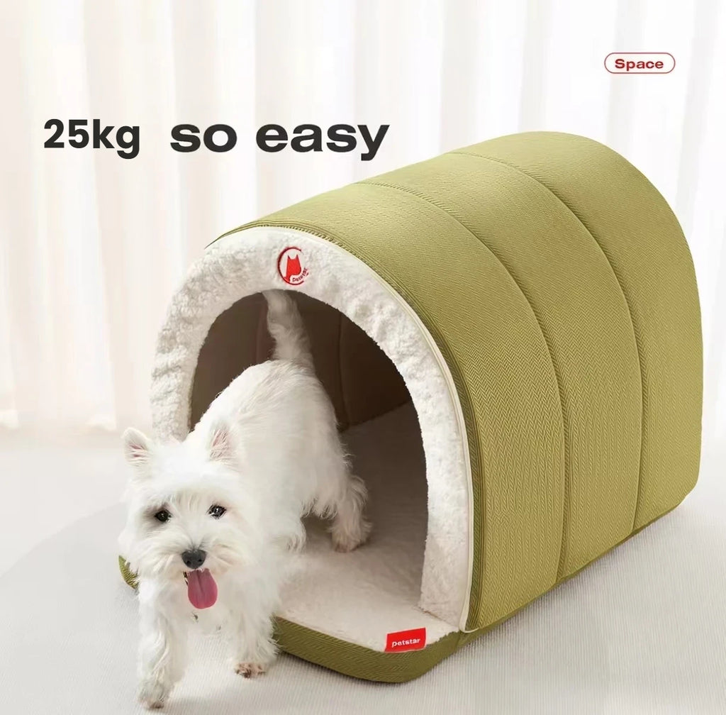 Small white dog standing in the entrance of a green Petstar tent bed