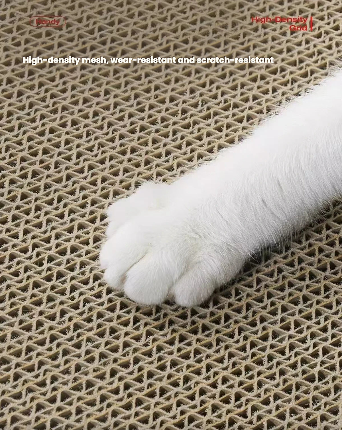 Close-up of the corrugated scratching surface beside a cat paw