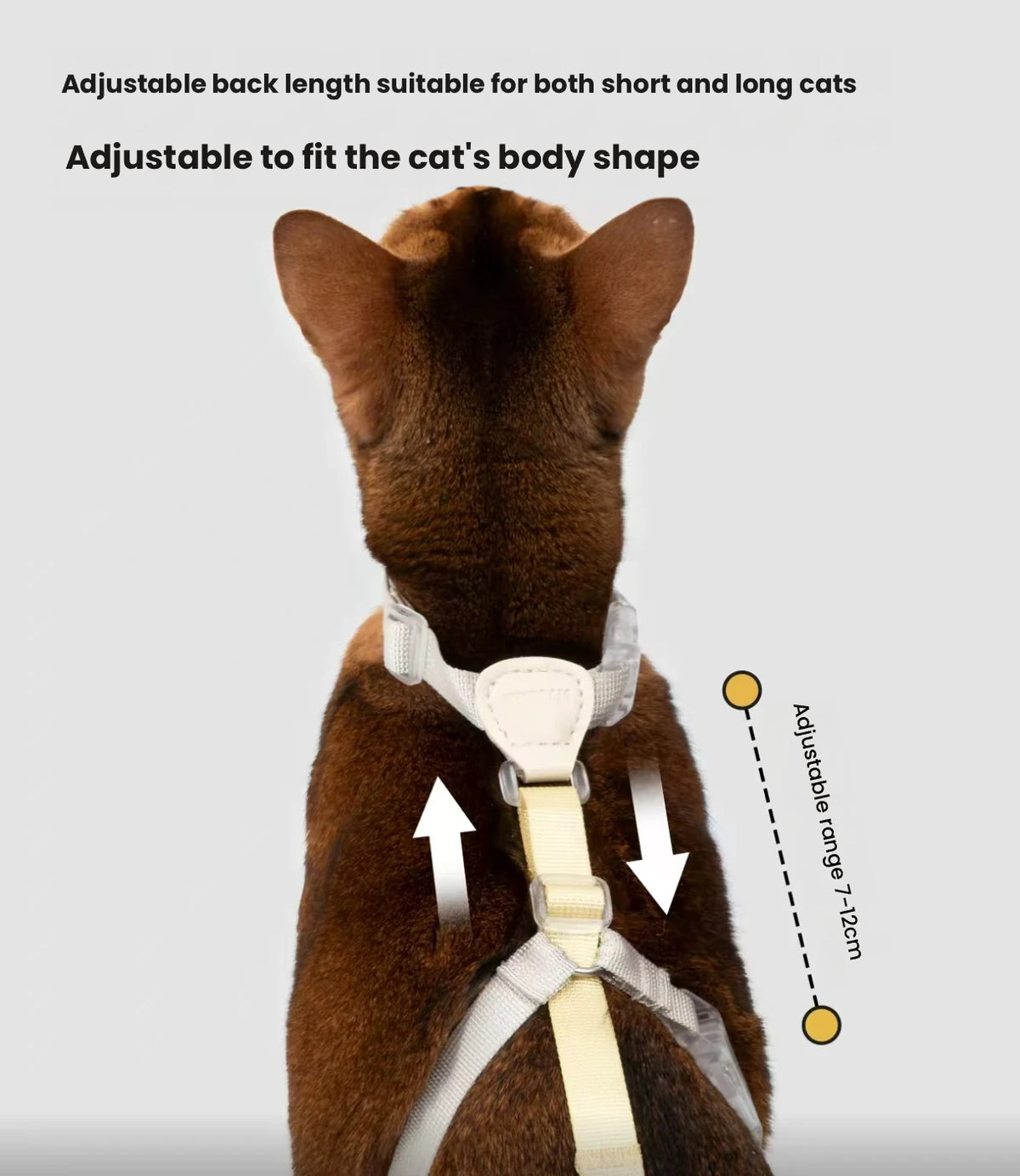 HiDREAM Escape-Resistant H-Style Cat Harness and Leash Set - Walking Harness for Devon Rex