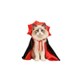 Halloween Pet Magic Cape – Funny Wizard Costume for Dogs & Cats