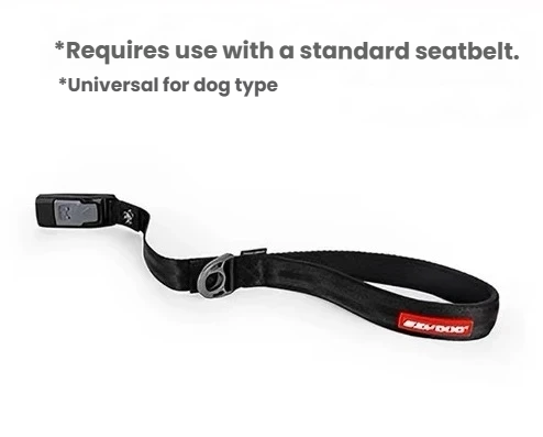 EzyDog Click Leash handle and buckle on a white background