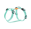 Mint green HOWGO Y-style dog harness