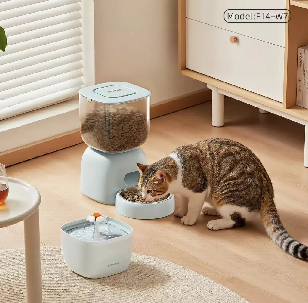Petwant Automatic Cat & Dog Feeder, Timed & Portion Control