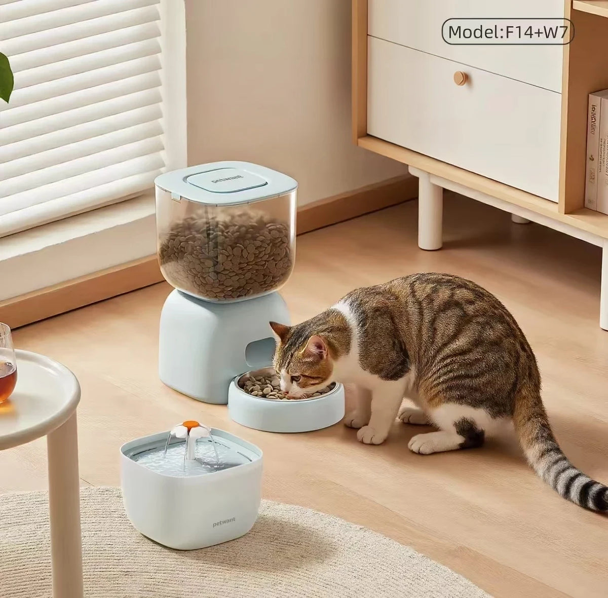 Petwant Automatic Cat & Dog Feeder, Timed & Portion Control