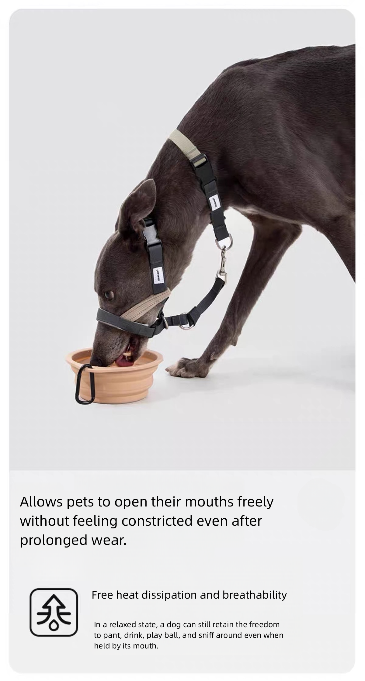 HiDREAM Head Halter – Anti-Pull Training Aid