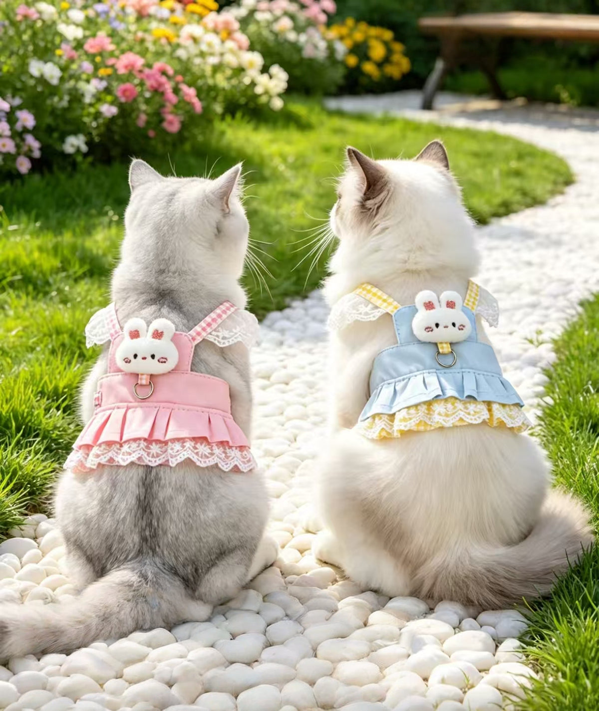 Cat Harness with Leash, Soft Vest for Outdoor Walking